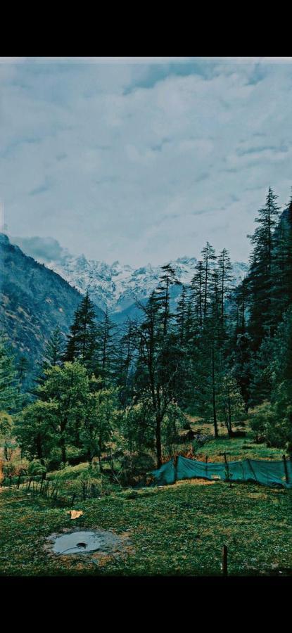 Shanti People Huts & Camp Kasol Exterior photo